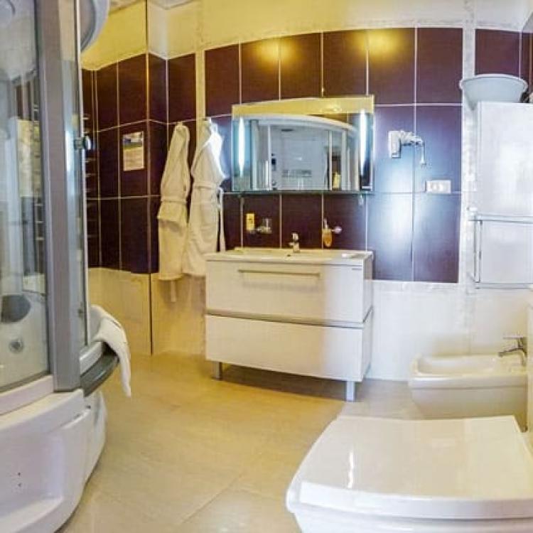 Совмещенный санузел с душевой кабиной номера 2 местные 3 комнатные Апартаменты Королевские в санатории Центросоюз-Кисловодск